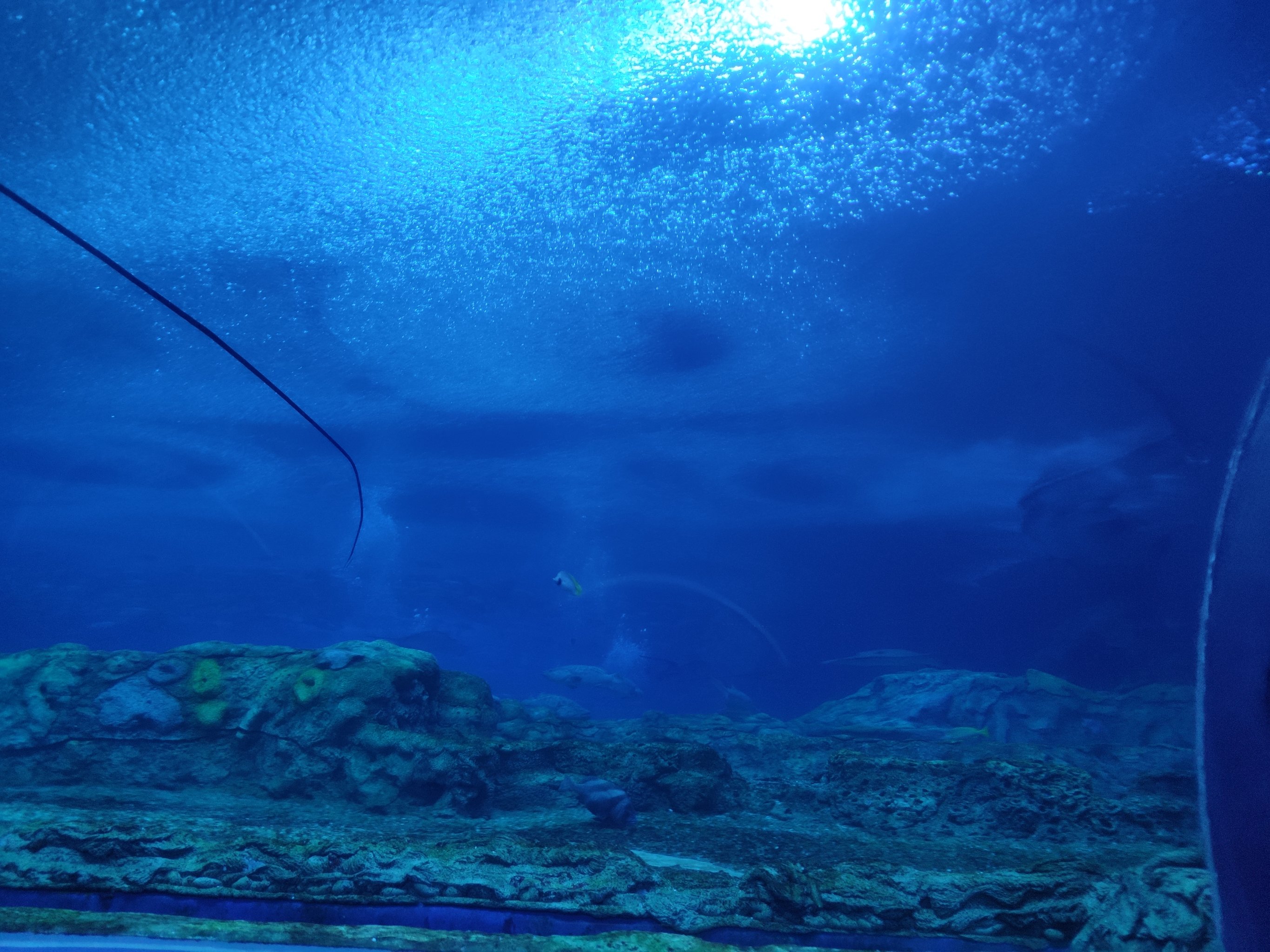 水底漫步体验，探索奇妙的海底世界