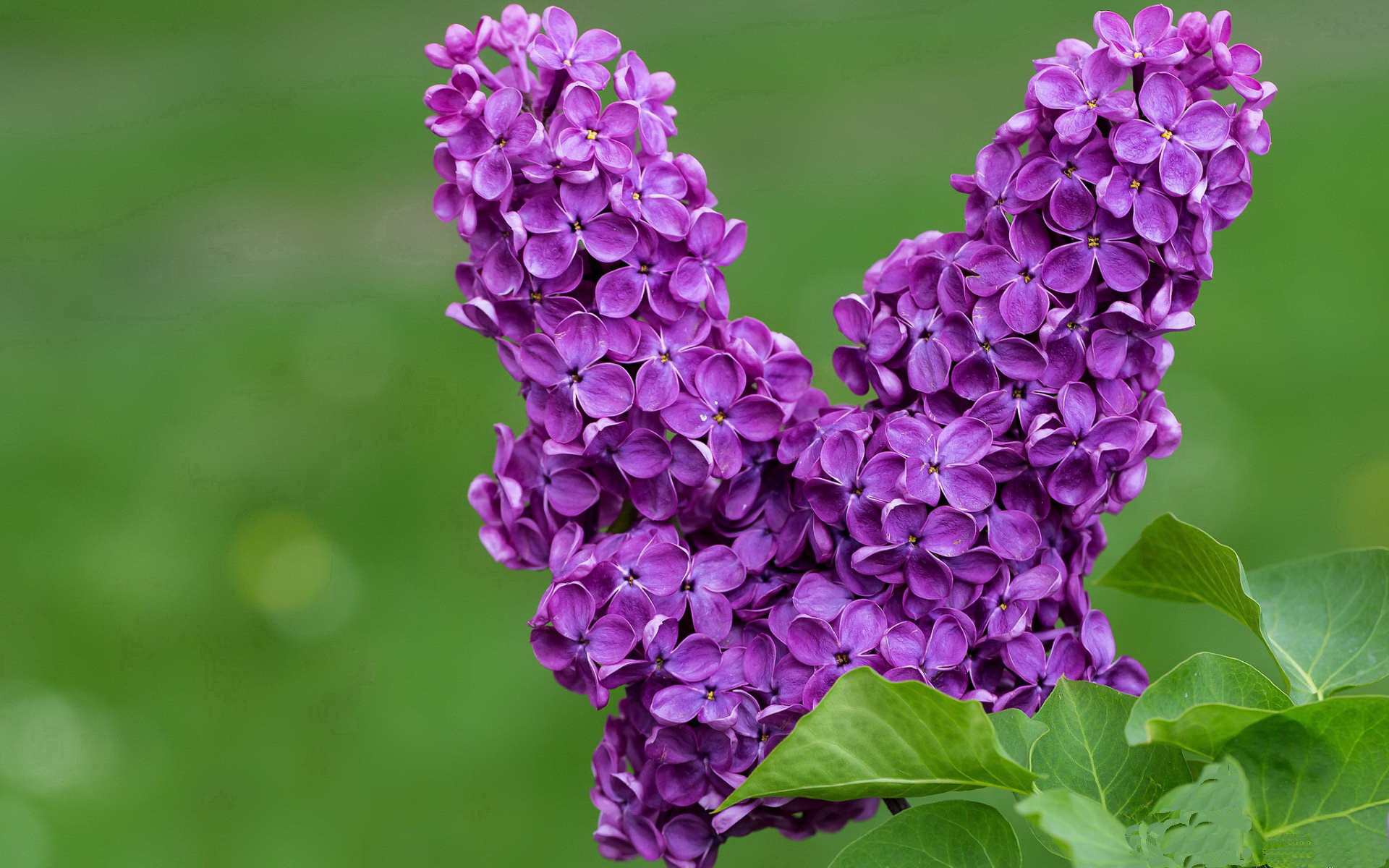 开云APP下载-世界田径接力锦标赛，中国女队摘得银牌，世界田径接力锦标赛,中国女队摘得银牌了吗