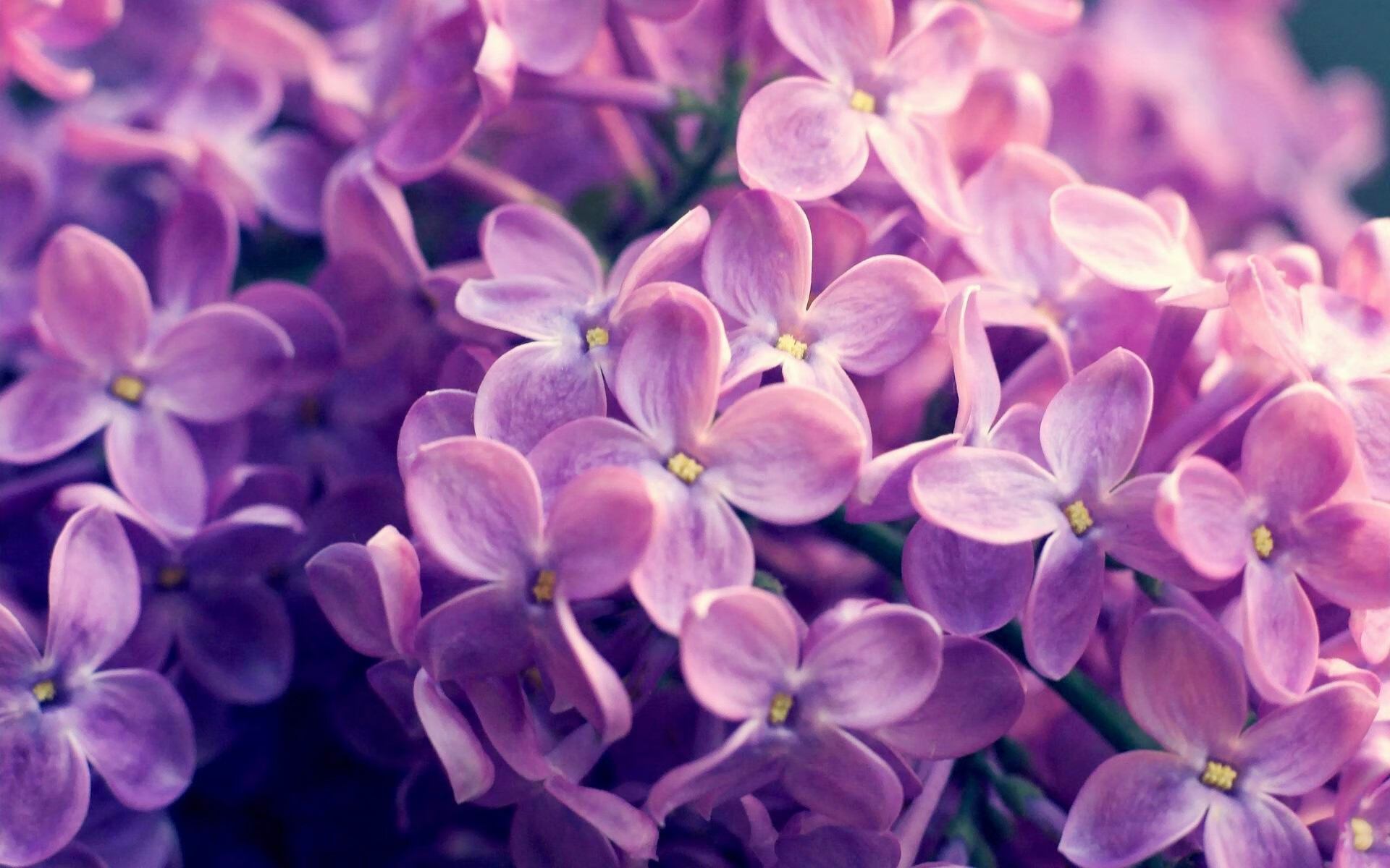 石油人防守强度持续提升，石油人现场练兵精神