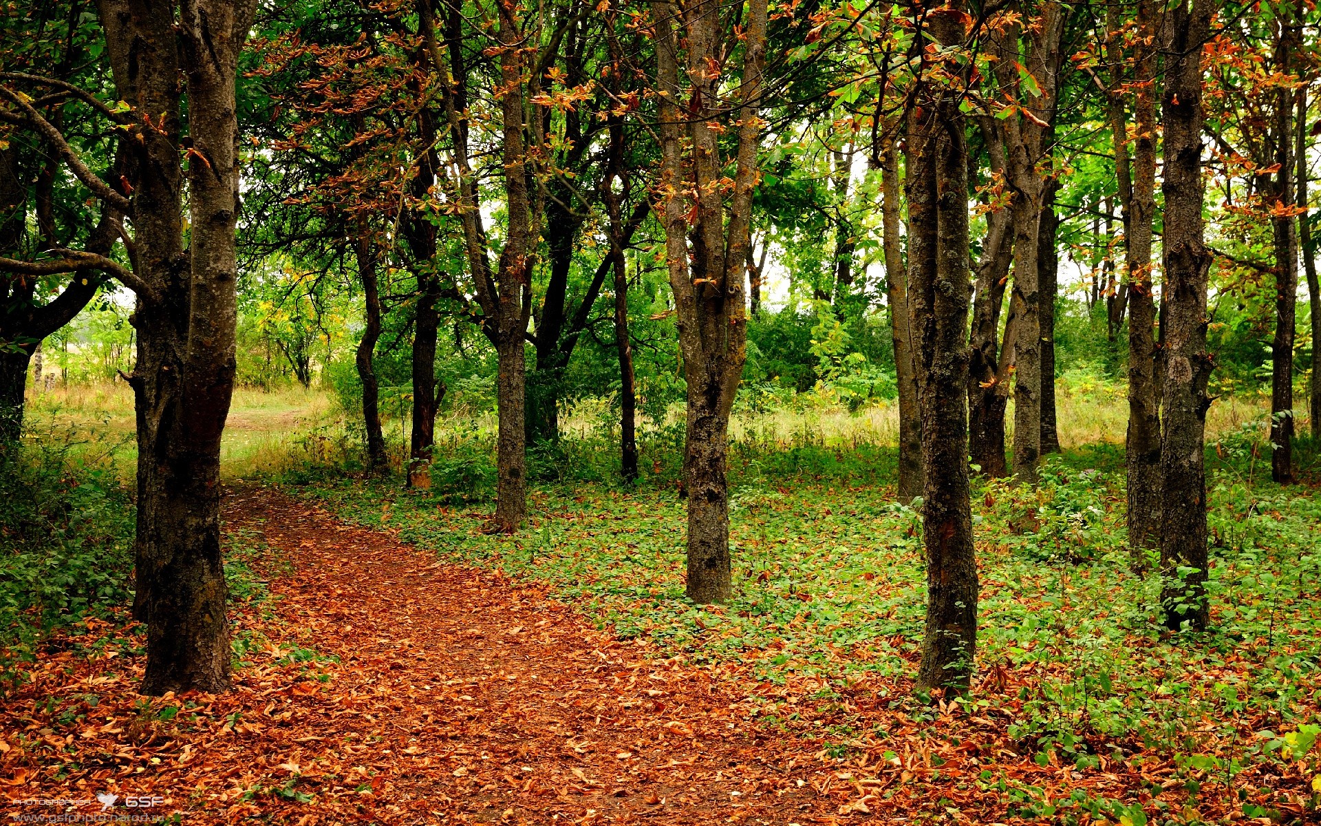 开云体育app安全下载-U23国足平局东亚杯 战术细节备受热议，亚足联u23