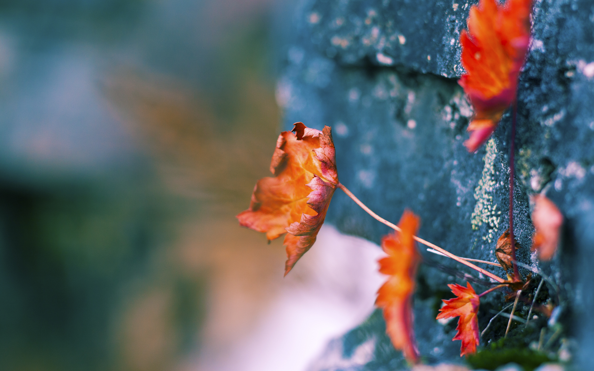 前场球员跑动轨迹是否直接影响中场组织视角,前场球员跑动轨迹是否直接影响中场组织视角