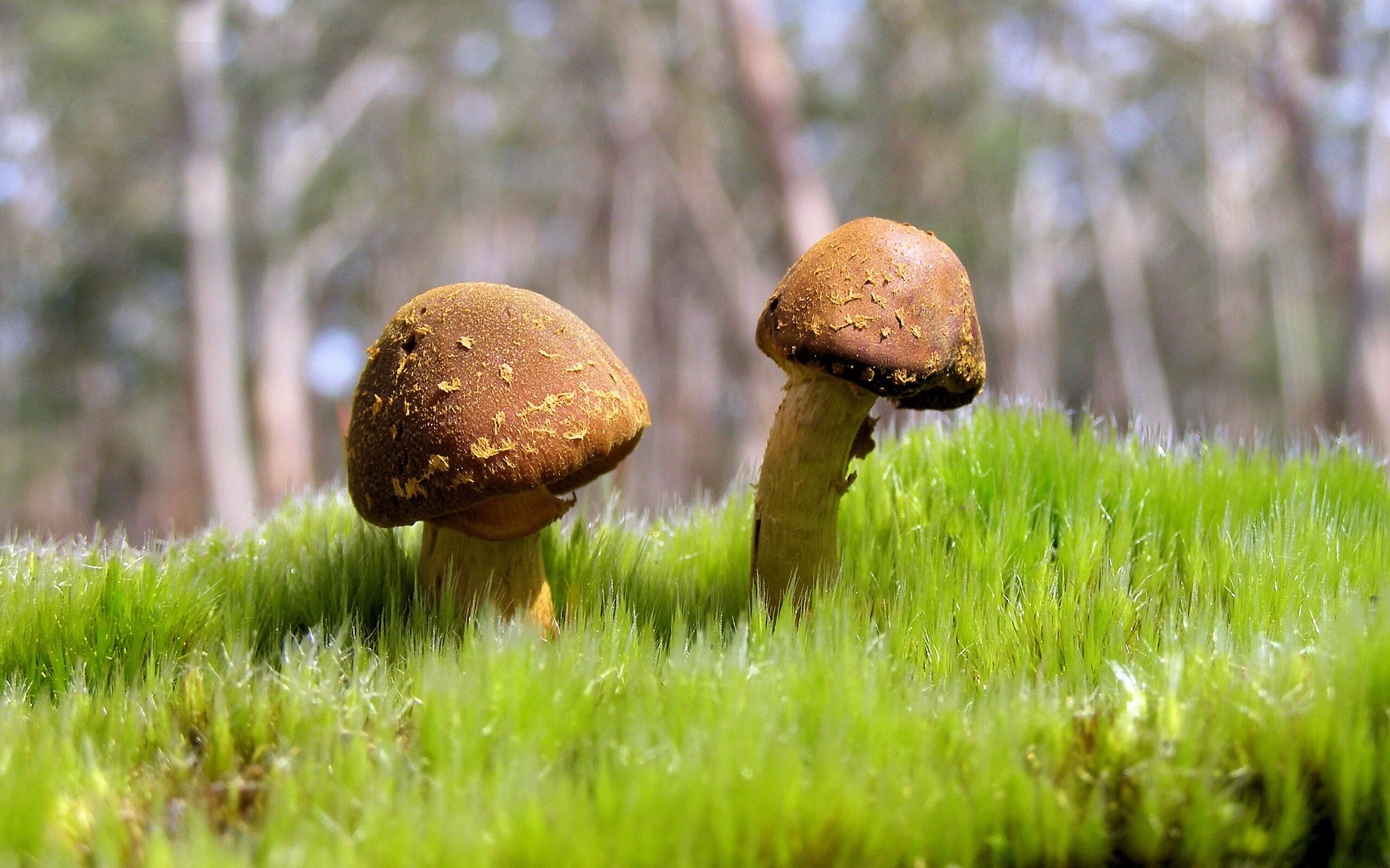 开云体育下载APP-巴雷特：全黑队的“进攻指挥官”，赛场上毫不手软