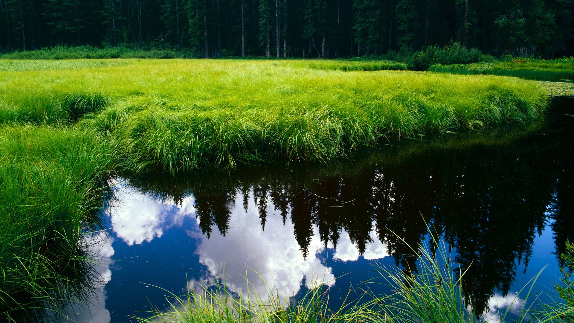 李冰洁赛后坦言:尽力就无遗憾,李冰洁赛后采访